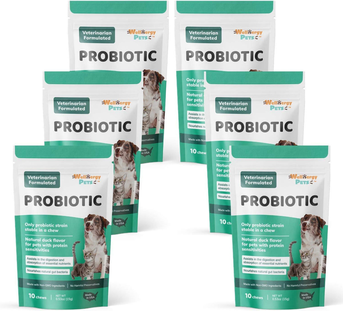 Wellnergy Daily Probiotic & Prebiotics Soft Chew for Dogs and Cats (60 Chews) - görsel 1