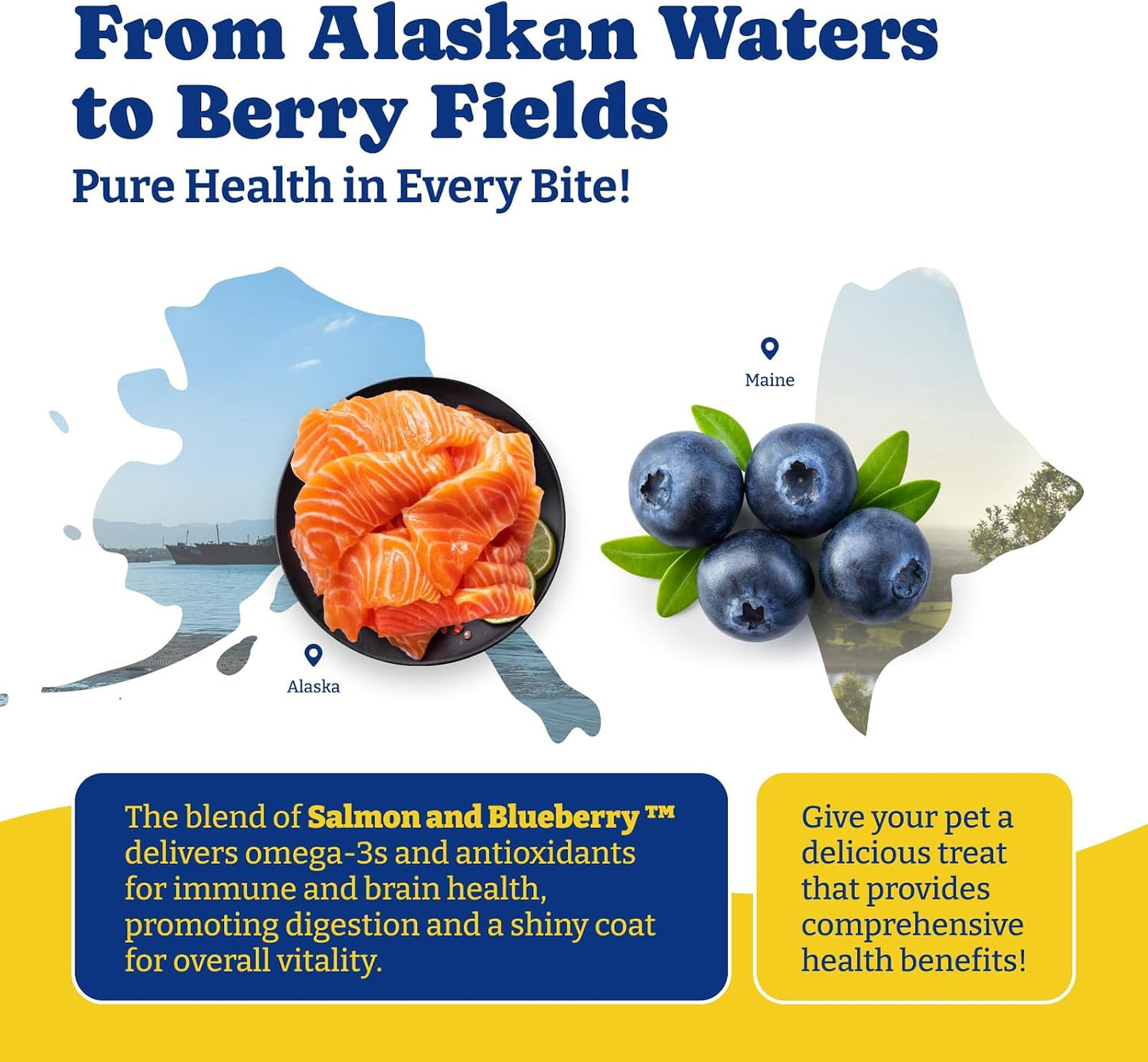 YoYoBay Probiotics for Dogs - 6 Billion CFUs, 180 Soft Chews, Salmon & Blueberry Flavour - görsel 7