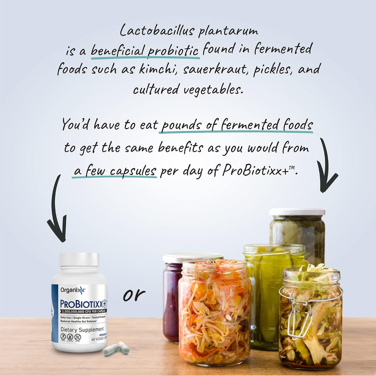 Organixx ProBiotixx+ Probiotic Supplement – Daily Probiotics for Digestive and Immune Health, 2.5 Billion CFU, 60 Vegetarian Capsules - görsel 6