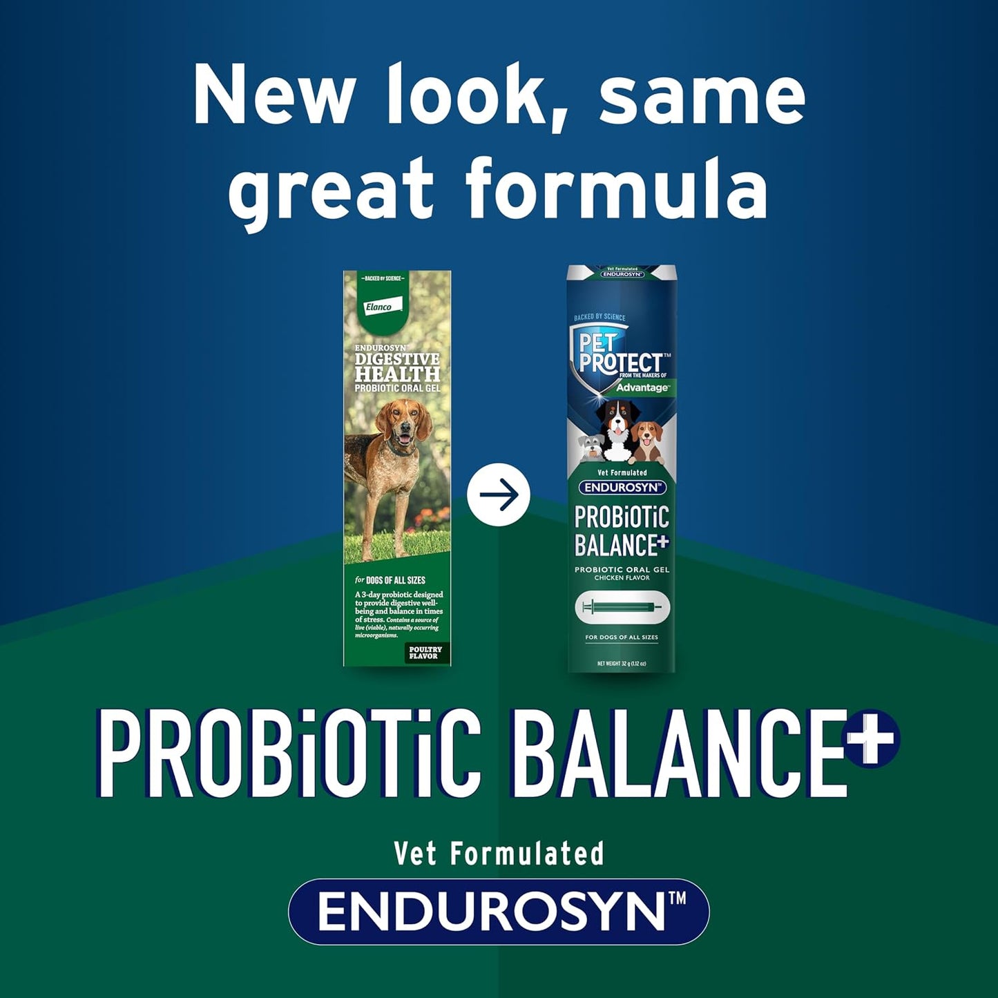 Pet Protect Dog Probiotic Balance+ Oral Gel, Vet-Formulated Endurosyn, Prebiotics & Probiotics for Dogs, 3-Day Supply, Chicken Flavour (32g) - görsel 3