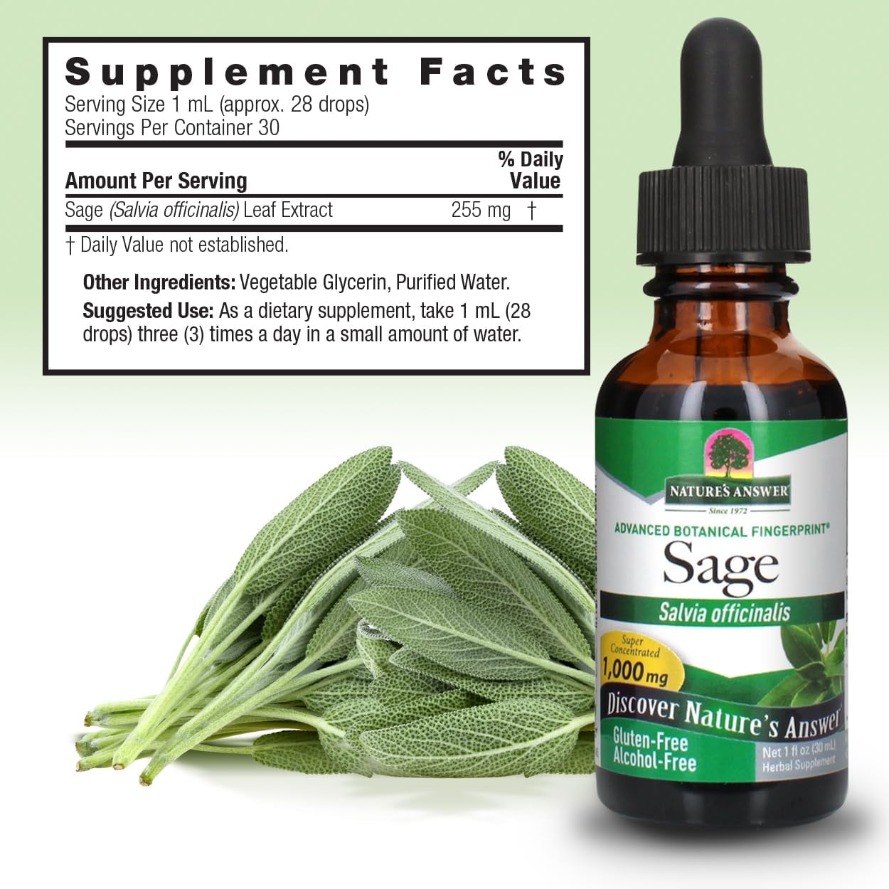 Nature's Answer Alcohol-Free Sage Leaf Liquid Extract, 30ml - görsel 3