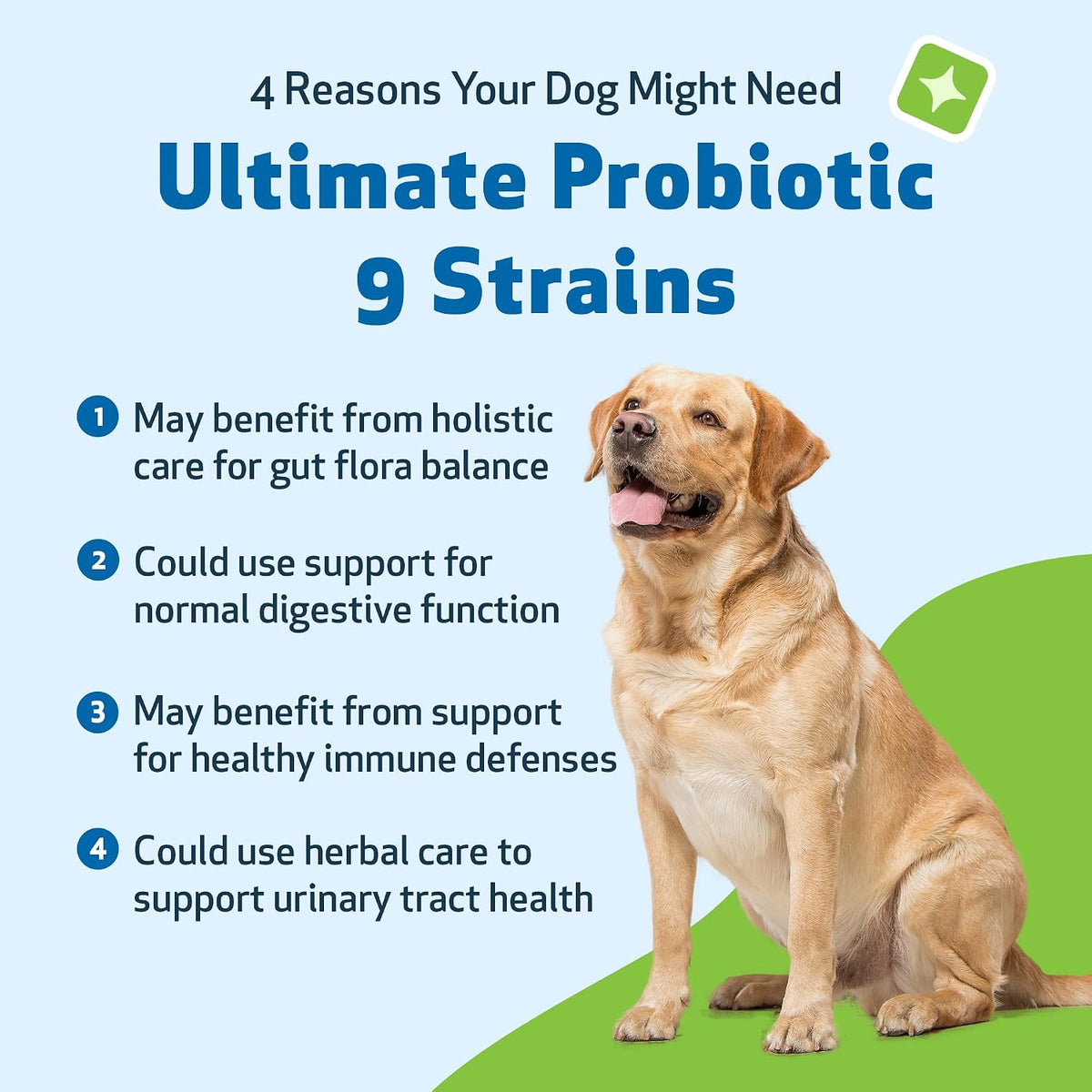 Pet Wellbeing Ultimate Probiotic – 9 Strains for Dogs and Cats, Digestive and Urinary Tract Support, 160g - görsel 9