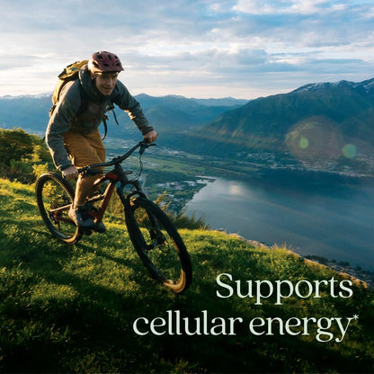 New Chapter® Organic Vitamin B12+ Gummies – Vegan B12 for Cellular Energy Support with Cordyceps, 60 Gummies