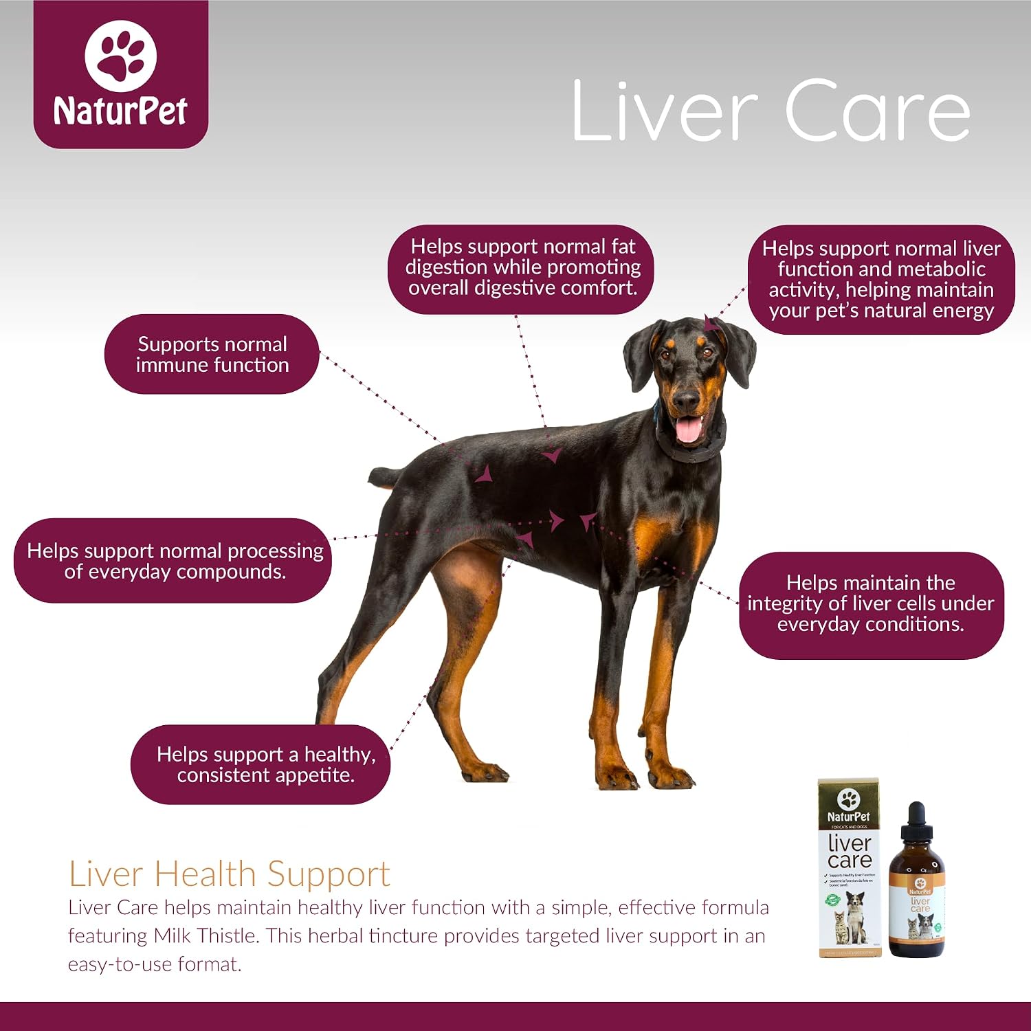 Arrowleaf Pet Liver Care for Cats and Dogs – Milk Thistle Herbal Tincture, 100 ml - görsel 4