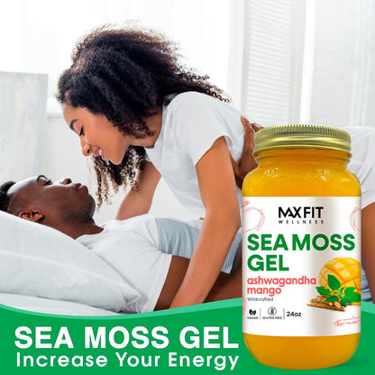 Wildcrafted Sea Moss Gel with Ashwagandha & Mango - 680g (24oz) | MAX FIT
