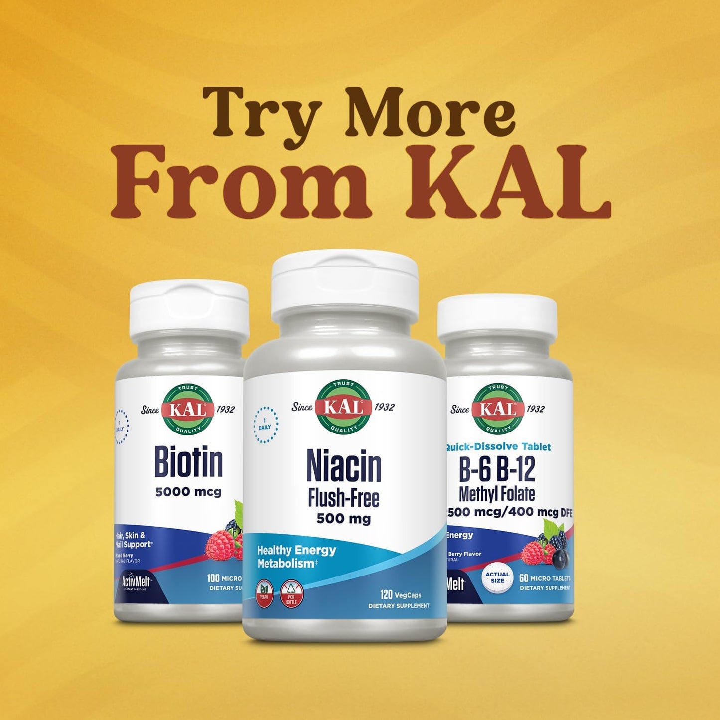 KAL Vitamin B-6 B-12 Methyl Folate ActivMelt - 60 Micro Tablets - görsel 6