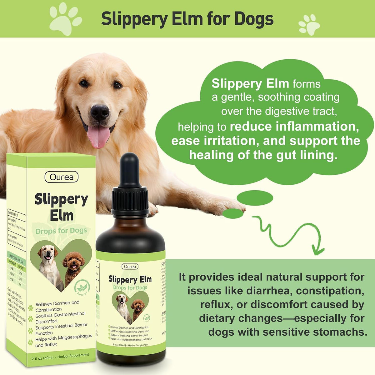 Slippery Elm for Dogs – Organic Herbal Digestive Support Drops - görsel 3