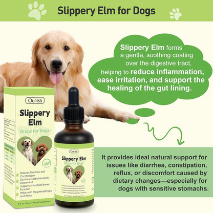 Slippery Elm for Dogs – Organic Herbal Digestive Support Drops