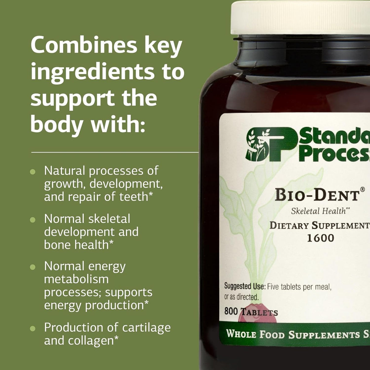 Standard Process Bio-Dent – Skeletal Health Food Supplement, 800 Tablets - görsel 4