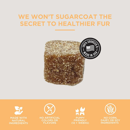 Natural Rapport Dog Skin & Coat Supplement – Salmon Oil Soft Chews, 120ct
