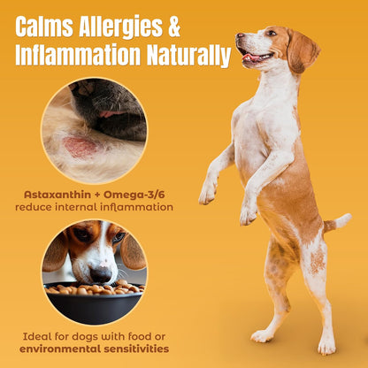 Lifeline Wild Anchovy & Borage Oil for Dogs | Omega-6 GLA Supplement for Skin Health, Allergies & Coat | Reduces Shedding, Itching & Inflammation – 770 ml