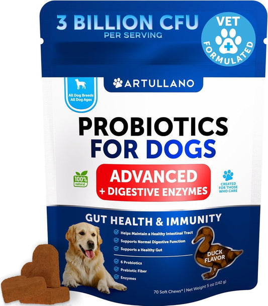 Probiotics for Dogs – Support Gut Health, Itchy Skin, Allergies, Immunity, Yeast Balance – Digestive Enzymes with Prebiotics – 70 Chews