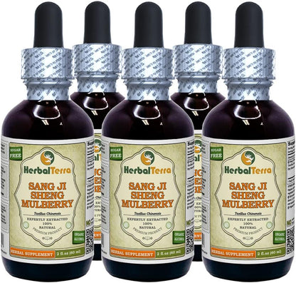 HerbalTerra Sang Ji Sheng (Mulberry Mistletoe) Tincture – 30 x 2 fl oz (60 ml)