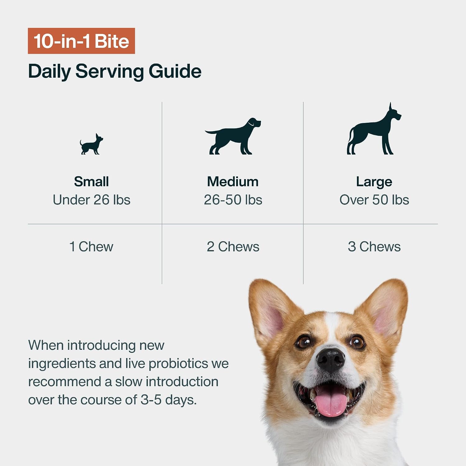 JustFoodForDogs 10-in-1 Supplement for Dogs - Human Grade Multivitamin Soft Chews, 45 Count - görsel 7