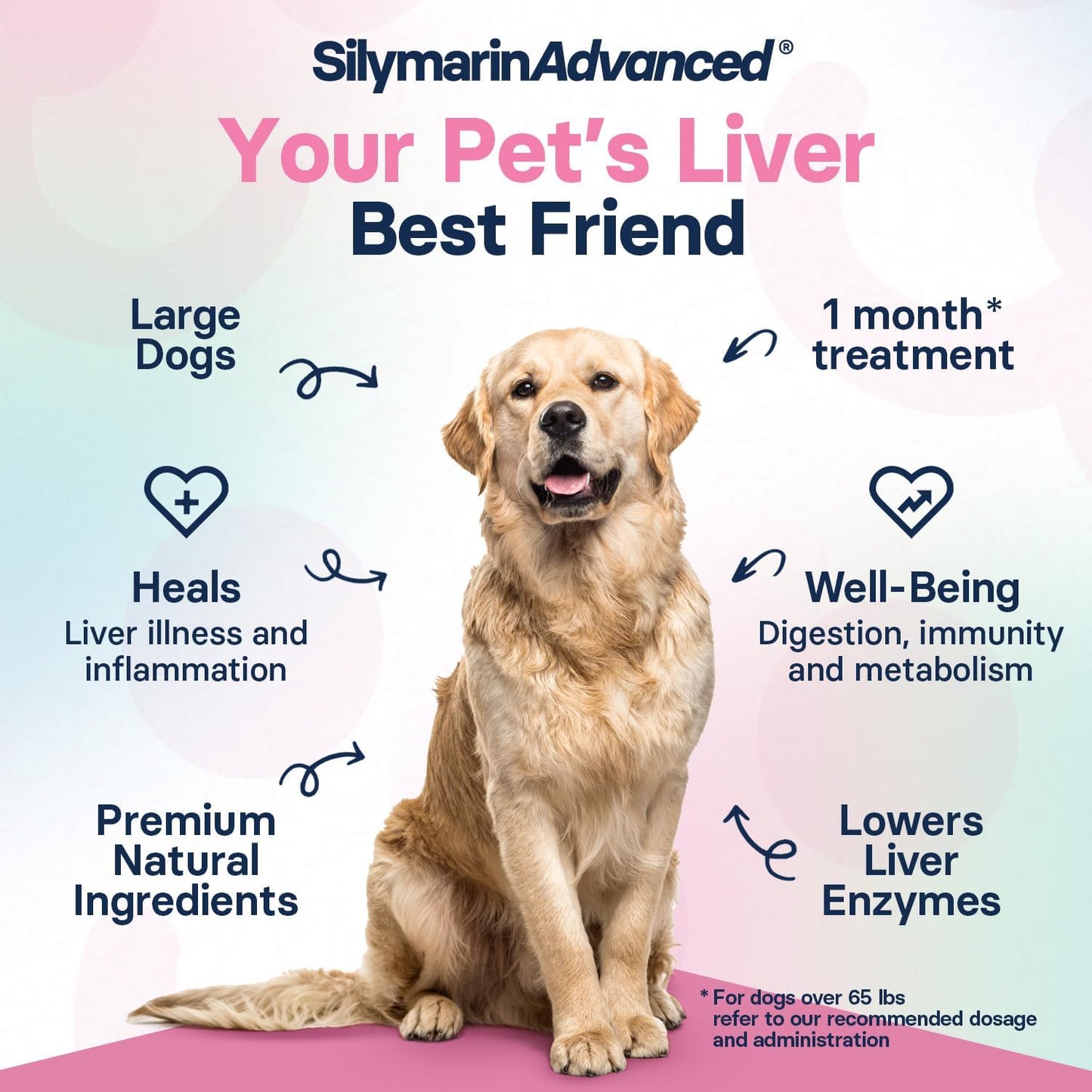 Liver Health Supplement for Large Dogs – Milk Thistle for Dogs Liver Support with S-Adenosylmethionine (SAMe) & Silybin – 30 Tablets - görsel 3