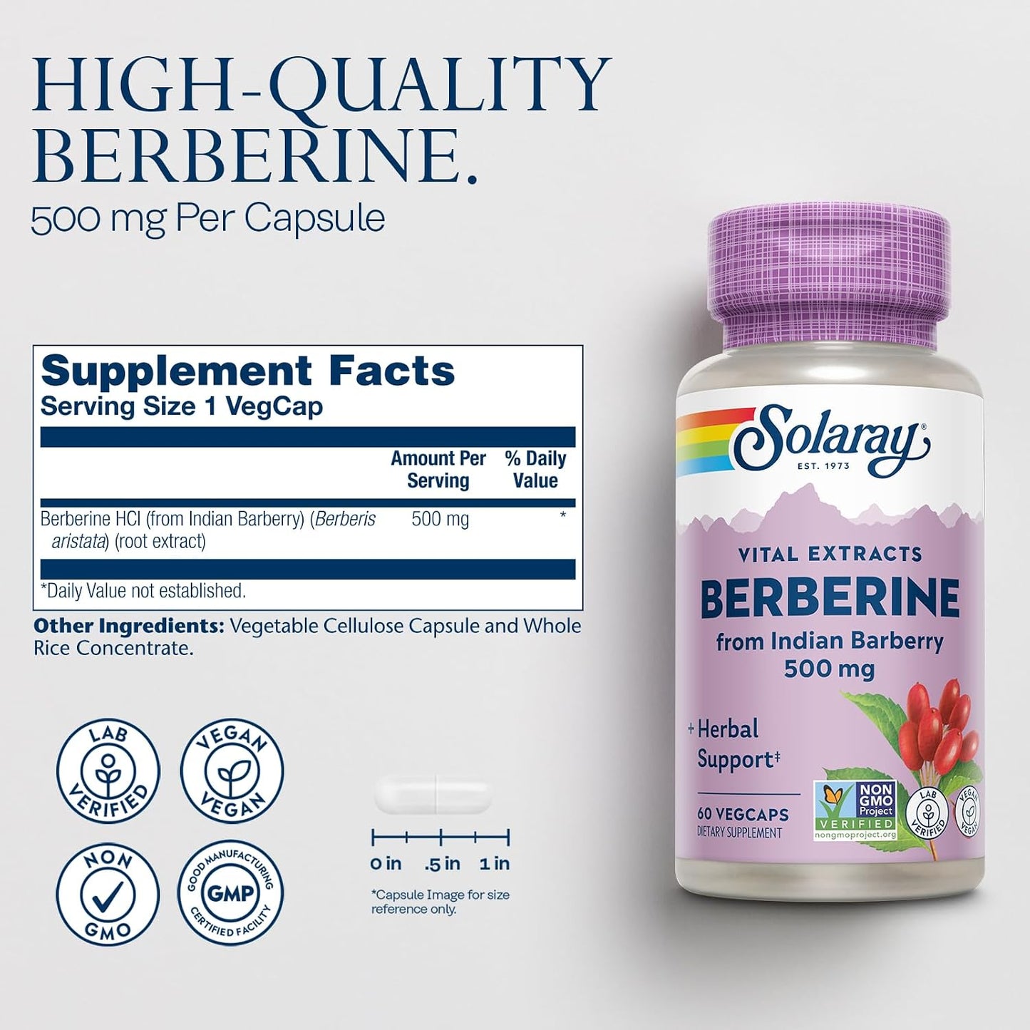 SOLARAY Berberine 500mg - Berberine Food Supplement for Healthy Lifestyle - with Berberine HCl from Indian Barberry - Vegan, Non-GMO - 60 VegCaps - görsel 2