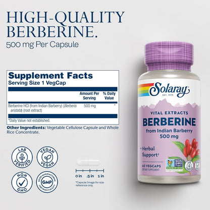 SOLARAY Berberine 500mg - Berberine Food Supplement for Healthy Lifestyle - with Berberine HCl from Indian Barberry - Vegan, Non-GMO - 60 VegCaps