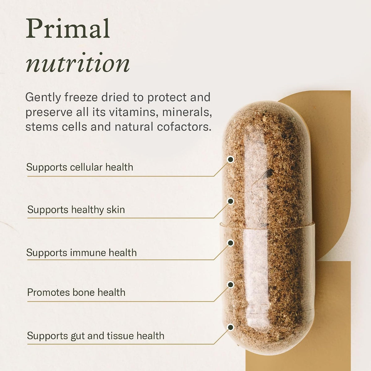 Enviromedica Bone Marrow Supplement – Grass-Fed New Zealand Beef Bone Marrow, MCHA, Bovine Cartilage, Collagen, Freeze-Dried, Vitamin K2 MK7, 120 Capsules - görsel 3