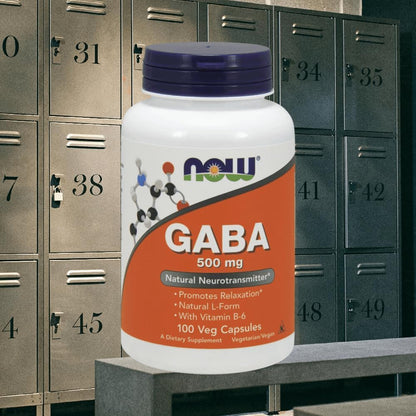 NOW Foods GABA 500 mg plus Vitamin B6