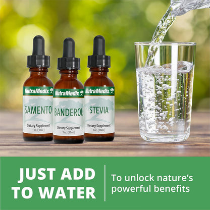 NutraMedix Barberry Liquid Extract - Oregon Grape Root Food Supplement for Immune & Digestive Support, 30 ml