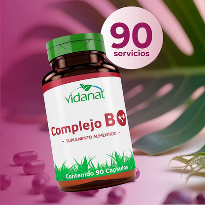 Vidanat Complex B 90 Capsules – Essential B Vitamins for Energy, Nervous System & Immune Health