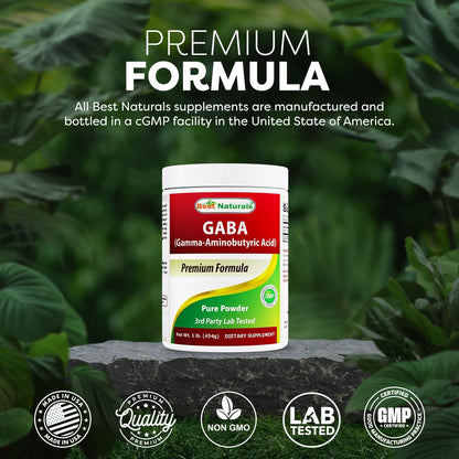 Best Naturals GABA (Gamma Aminobutyric Acid) Pure Powder, 454g