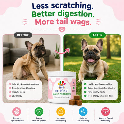 HealthyTreatz Probiotics for Dogs – 2 Billion CFU, 6 Strains with Digestive Enzymes – Gut Health, Diarrhoea Relief, Gas, Itchy Skin & Seasonal Allergy Support – Made in USA – Soft Chews, 120 ct