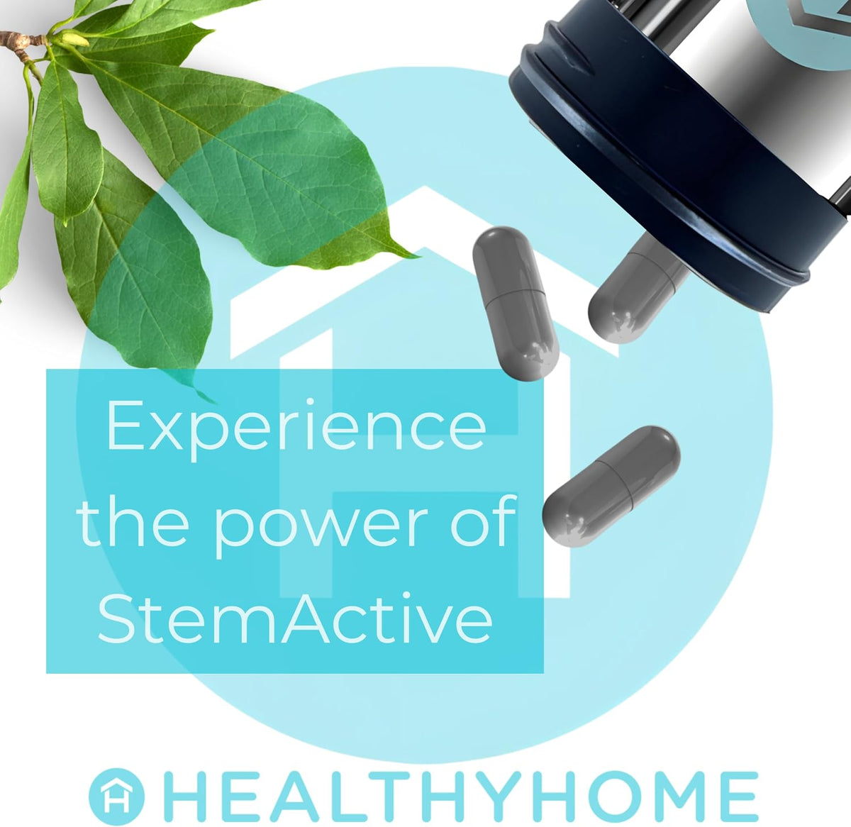 HEALTHY home StemActive Stem Cell Support Supplement – 60 Capsules - görsel 6