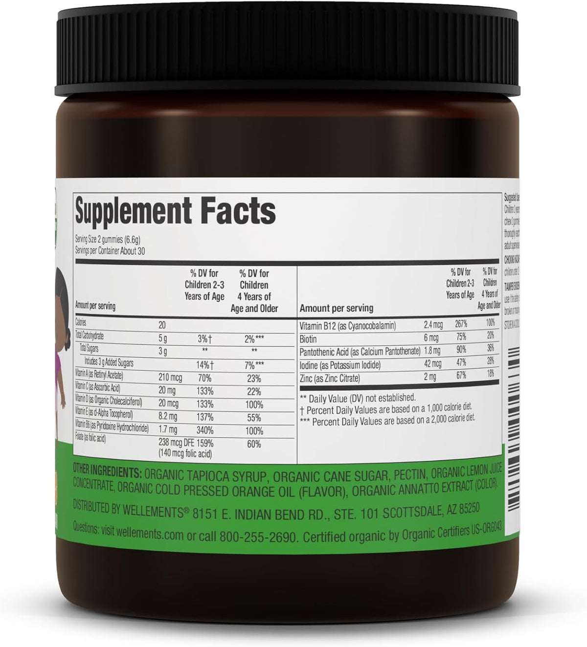 Wellements USDA Organic Kids Multivitamin Gummies - 60 Count - görsel 7