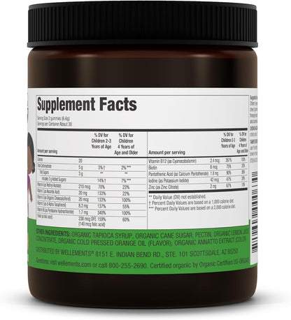 Wellements USDA Organic Kids Multivitamin Gummies - 60 Count