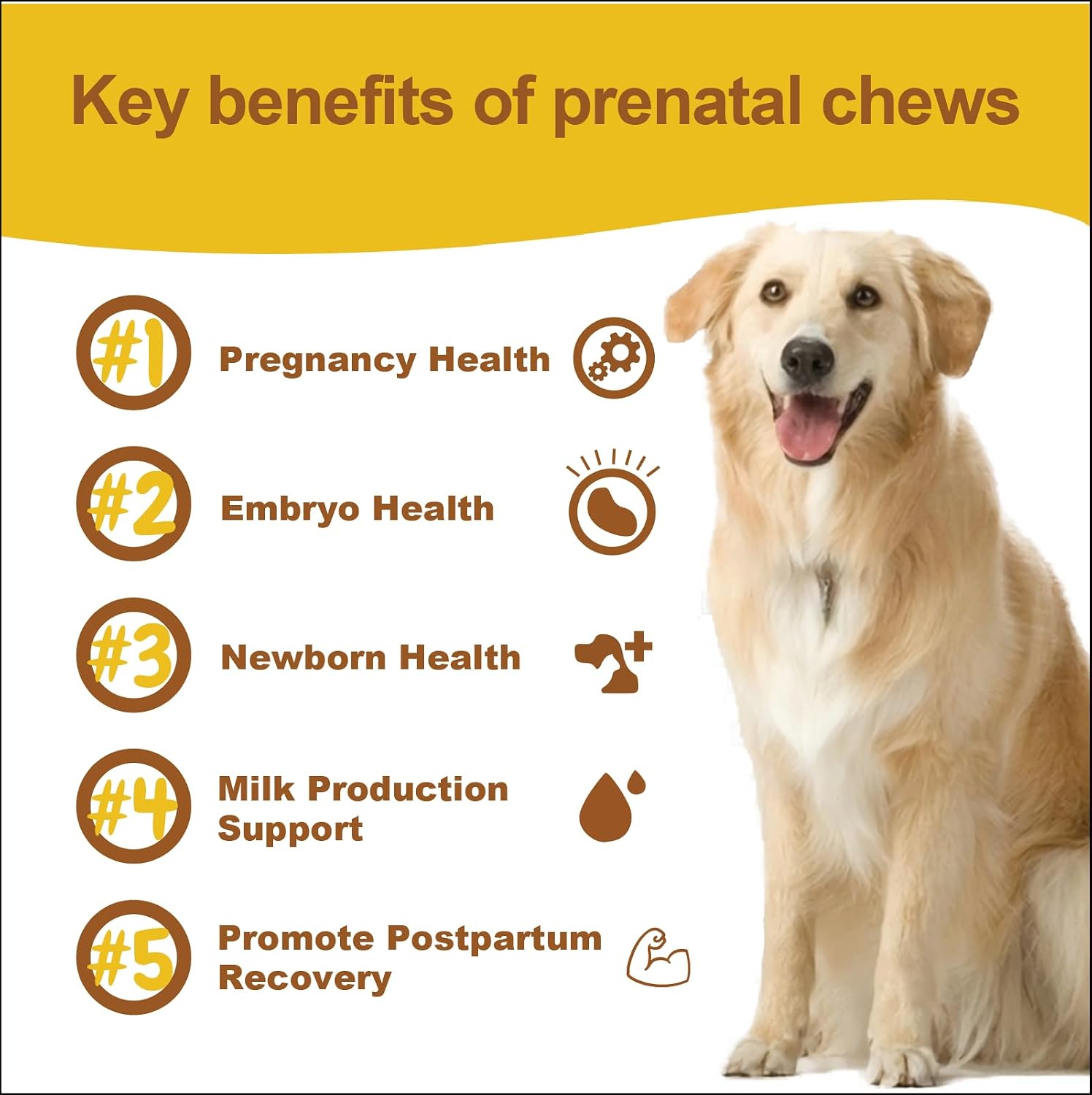 Dog Prenatal Vitamins for Pregnant & Nursing Dogs – Supports Healthy Pregnancy, Puppy Development & Lactation – with Folic Acid, Iron & Calcium – 120 Soft Chews - görsel 5