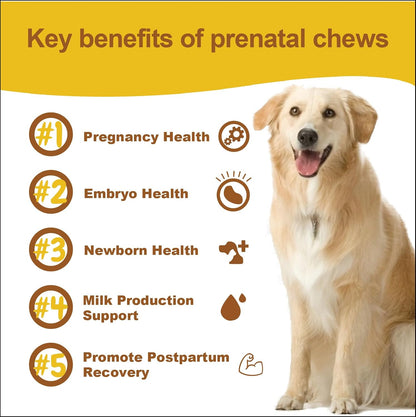 Dog Prenatal Vitamins for Pregnant & Nursing Dogs – Supports Healthy Pregnancy, Puppy Development & Lactation – with Folic Acid, Iron & Calcium – 120 Soft Chews