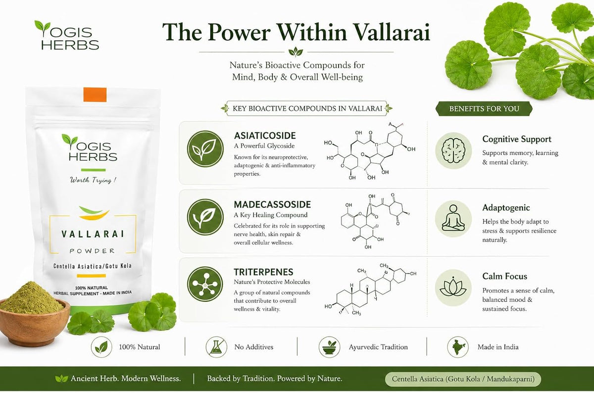 Vallarai Powder, Centella Asiatica (Gotu Kola/Mandukaparni) — Traditional Ayurvedic Herb for Cognitive Wellbeing & Mental Clarity — Pure Whole-Leaf Powder, Single-Ingredient - görsel 3