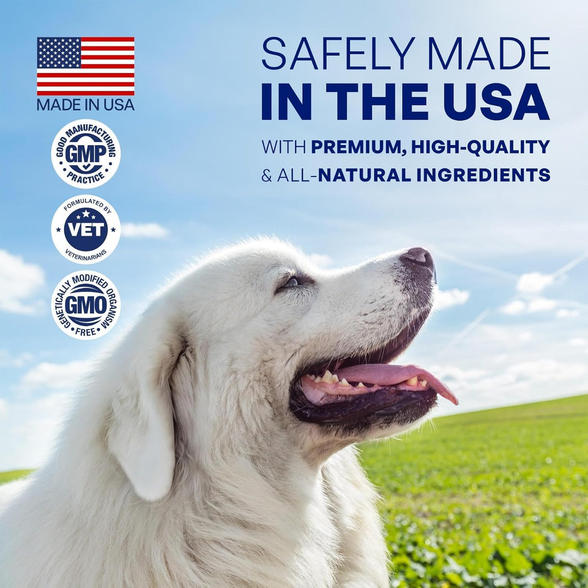 Skin and Coat Supplement for Dogs, Omega-3 Fish Oil Chews for Dogs with DHA EPA Omega-3 and Biotin, Anti-Shedding Treats for Thick and Shiny Coat, 60 Beef Flavoured Canine Soft Chews - görsel 7