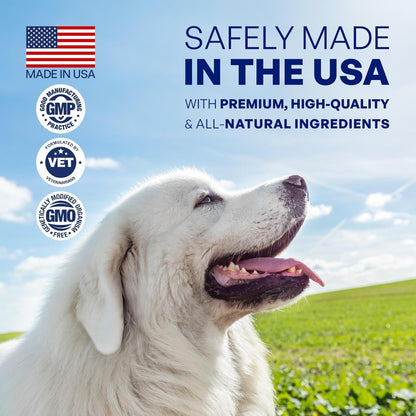 Skin and Coat Supplement for Dogs, Omega-3 Fish Oil Chews for Dogs with DHA EPA Omega-3 and Biotin, Anti-Shedding Treats for Thick and Shiny Coat, 60 Beef Flavoured Canine Soft Chews