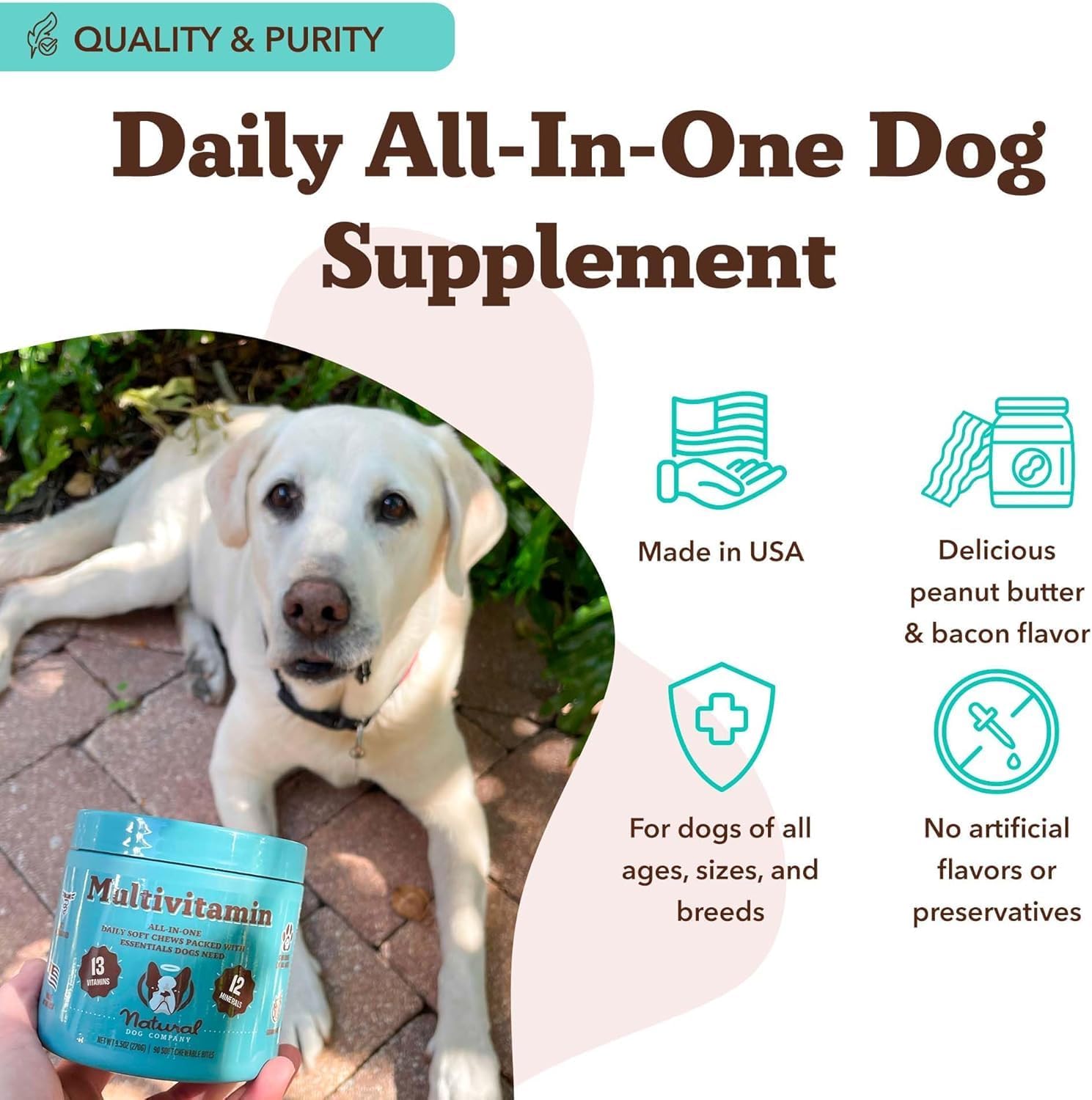 Natural Dog Company 25-in-1 Multivitamin for Dogs – Vet-Formulated Soft Chews for Puppies, Adults & Seniors, Supports Joints, Skin, Coat, Immune & Heart Health, NASC Certified, 90 Count - görsel 5