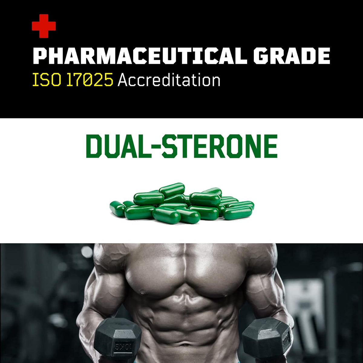 Turkesterone + Ecdysterone | Anabolic Supplement (180 Capsules) – Olympic-Grade Testing - görsel 6