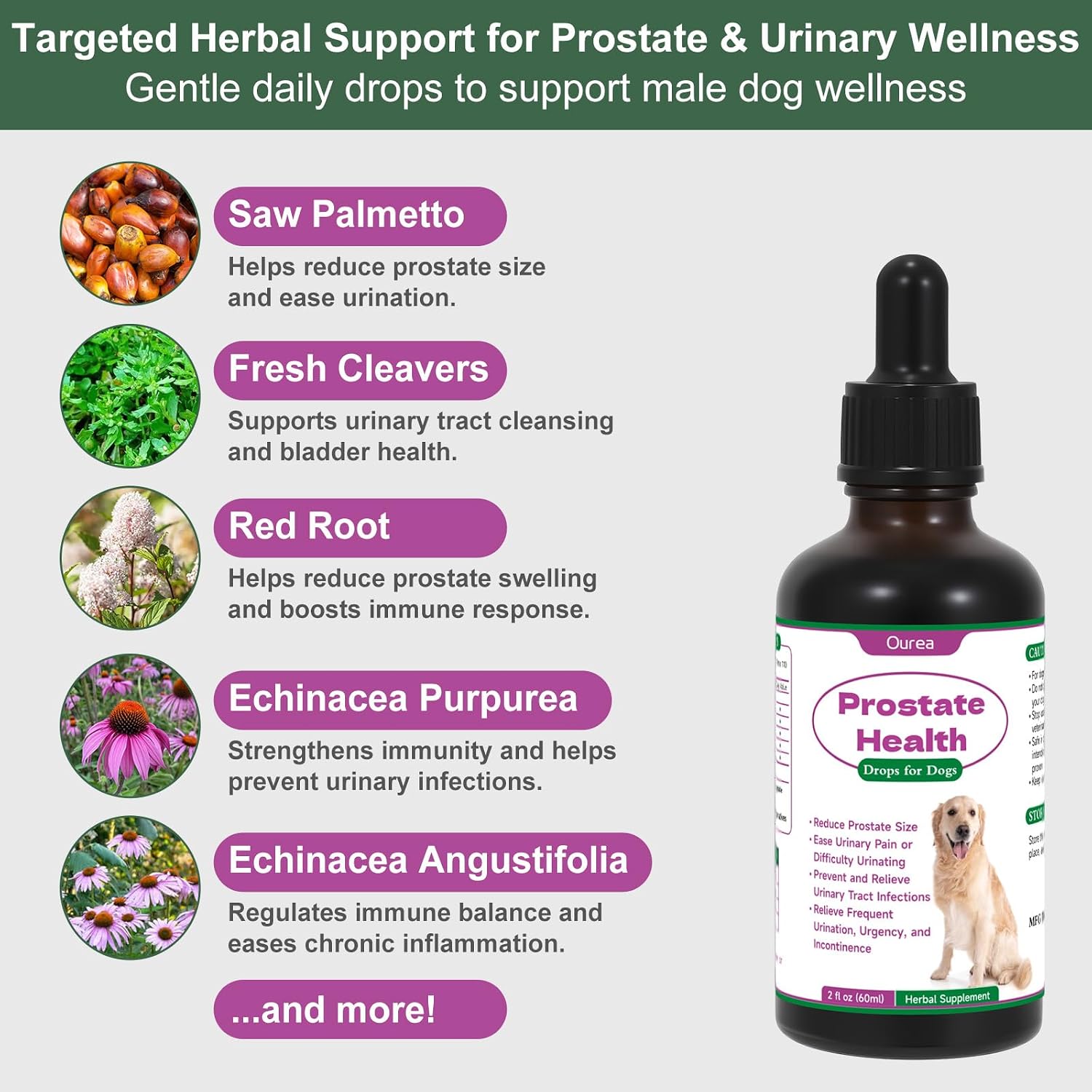 Ourea Prostate Health Drops for Dogs – Herbal Liquid Supplement for Urinary and Prostate Support - görsel 3