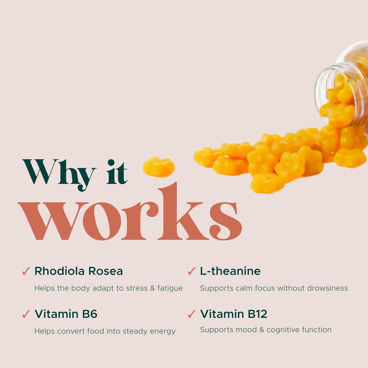 MAKE TIME Women's Rhodiola Gummies for Brain Health and Stress - görsel 3