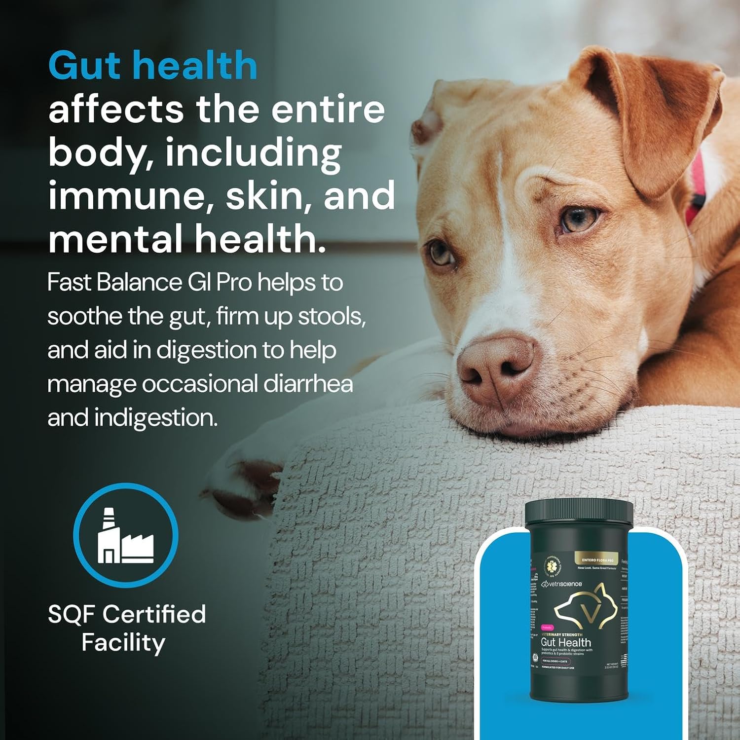 VetriScience Veterinary Strength Gut Health Powder – Probiotic for Dogs & Cats, 60 Servings - görsel 7