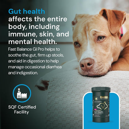 VetriScience Veterinary Strength Gut Health Powder – Probiotic for Dogs & Cats, 60 Servings