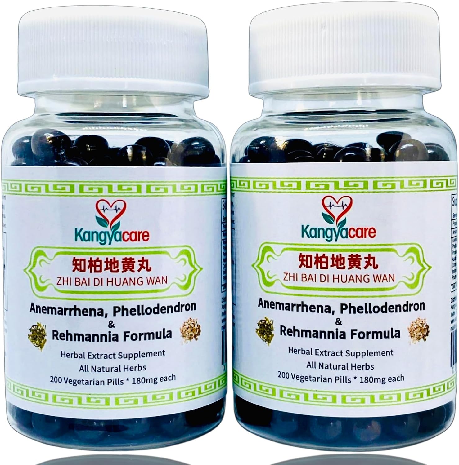 Zhi Bai Di Huang Wan - Anemarrhena, Phellodendron & Rehmannia Formula - All Natural Herbs - 200 Pills - görsel 8