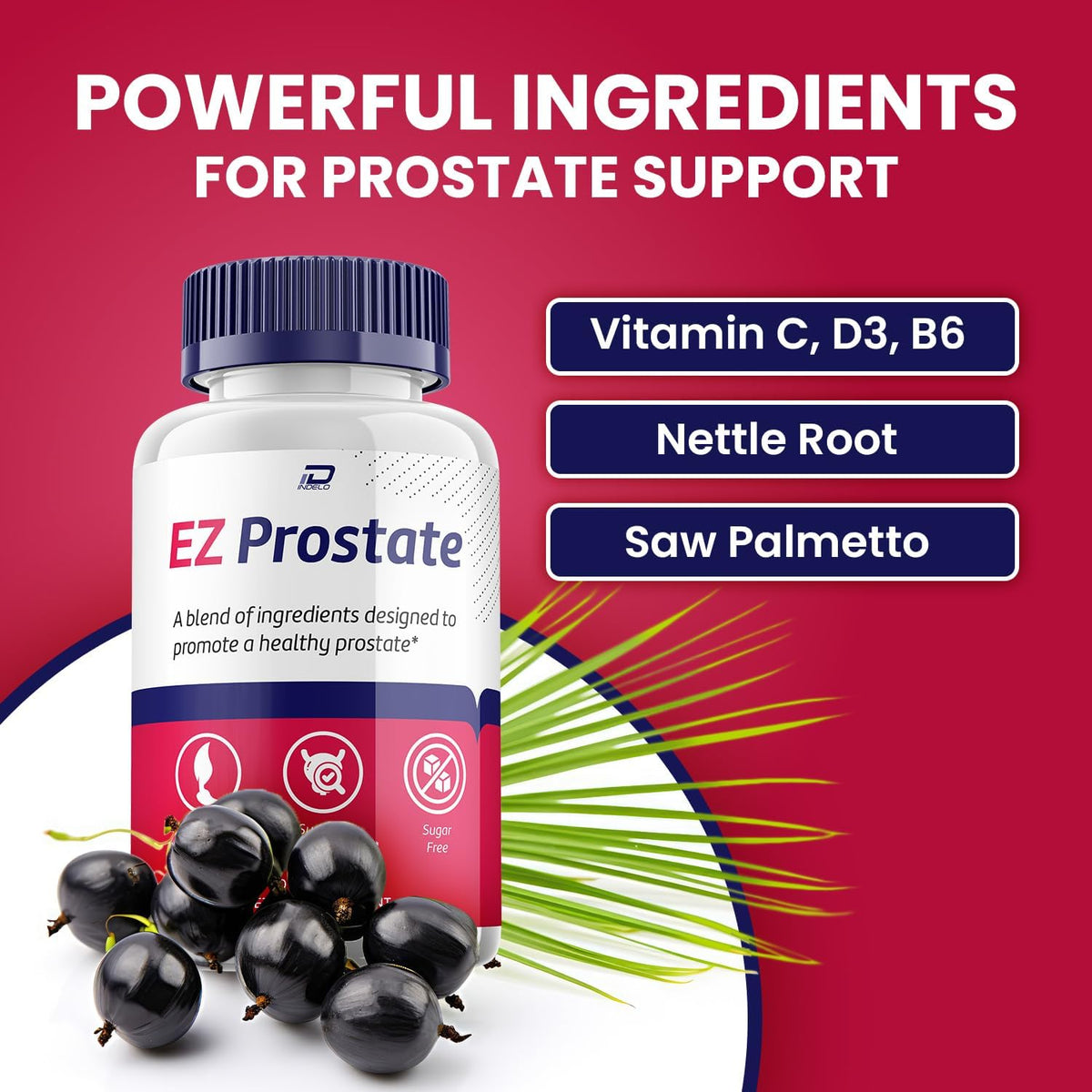 EZ Prostate Supplement for Men – Advanced Formula with Essential Minerals (300 Capsules, Pack of 5) - görsel 3