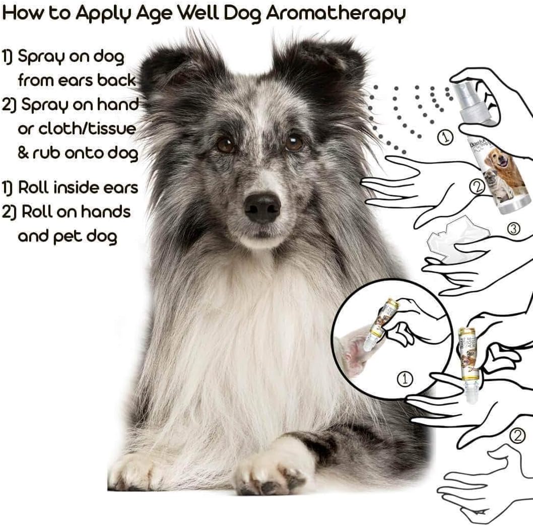 The Blissful Dog Shetland Sheepdog Age Well Spray Aromatherapy - görsel 4