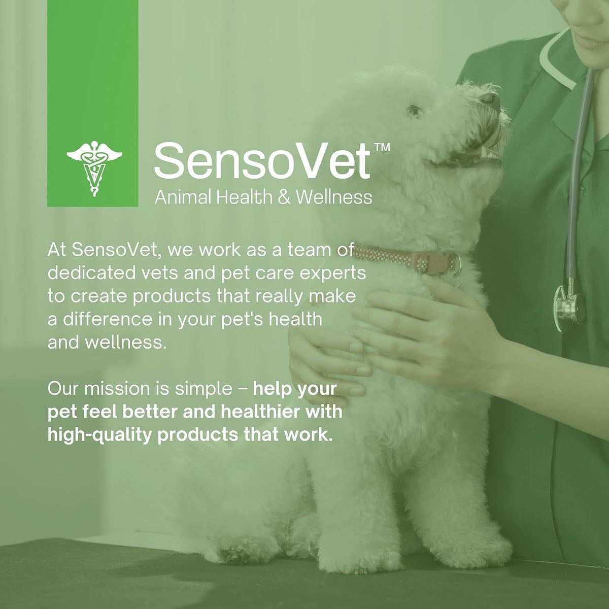 SensoVet Probiotics for Dogs with Prebiotics and Digestive Enzymes - görsel 7
