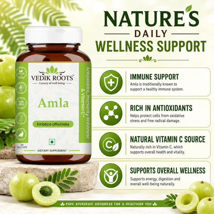 VEDIKROOTS Amla Capsules - 100% Organic Immunity Enhancer, Natural Vitamin C Supplement (60 Capsules)