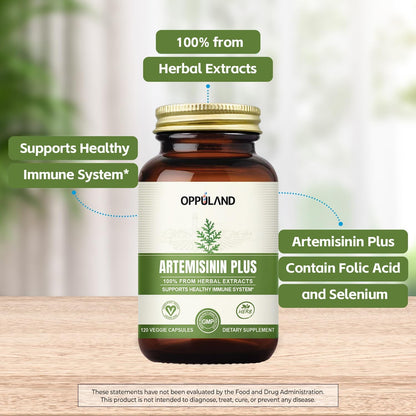Artemisinin Plus – Sweet Wormwood Extract 100mg – Artemisia Annua Complex with Folic Acid & Selenium – Herbal Supplement for Immune System & Wellness – Vegan Capsules – 120 Capsules