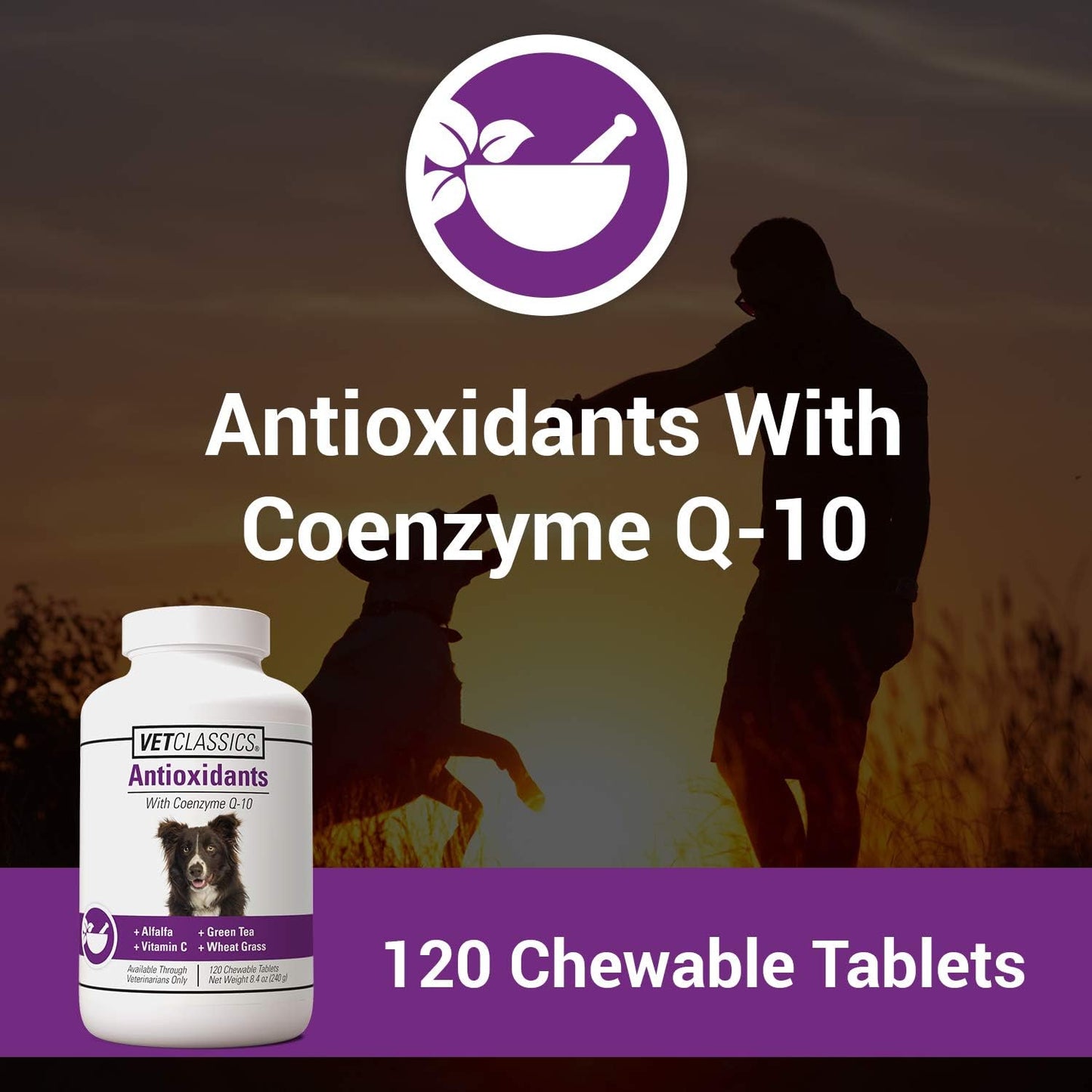Vet Classics Coenzyme Q-10 Antioxidant Dog Supplement – Chewable Tablets for Canine Health - görsel 2