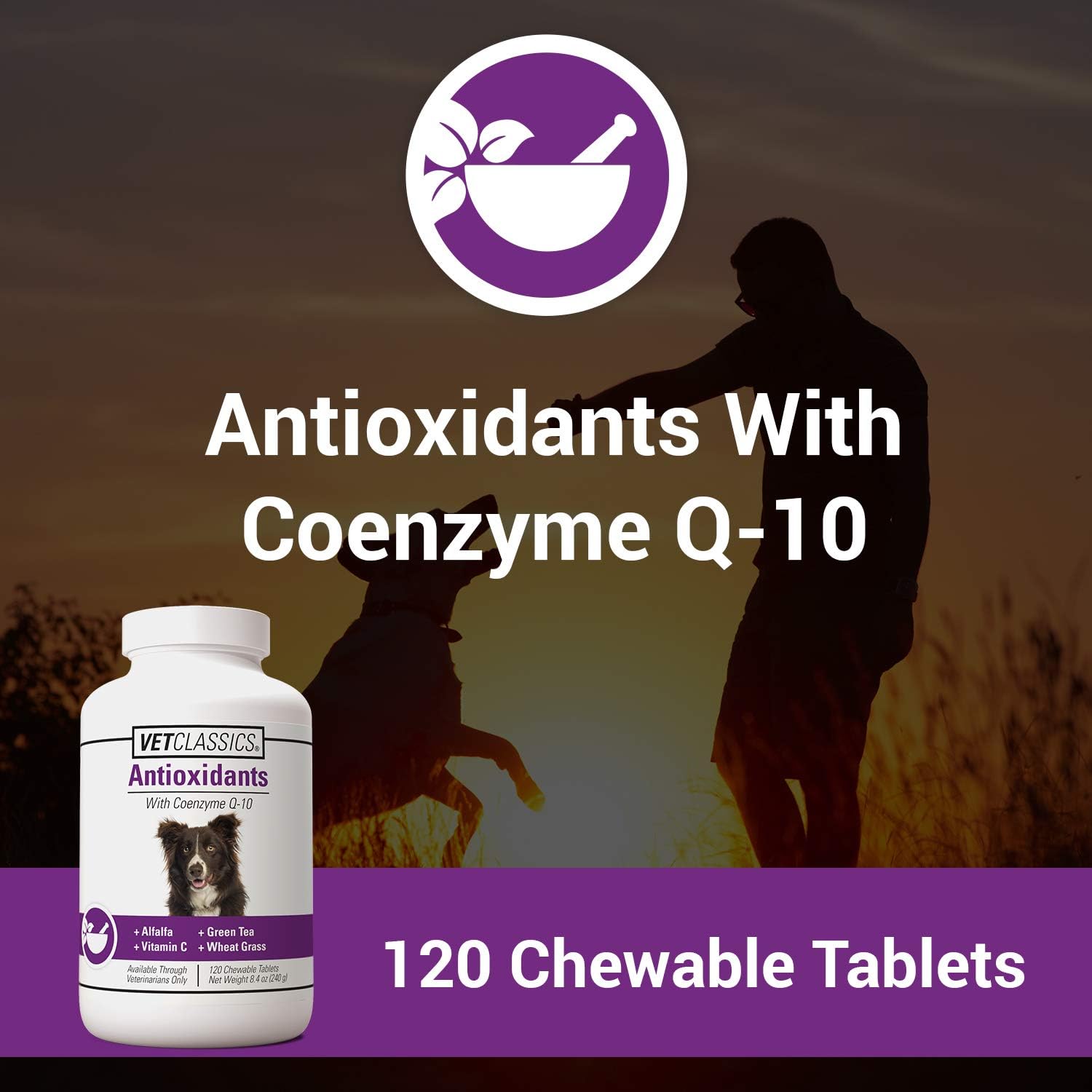 Vet Classics Coenzyme Q-10 Antioxidant Dog Supplement – Chewable Tablets for Canine Health - görsel 2