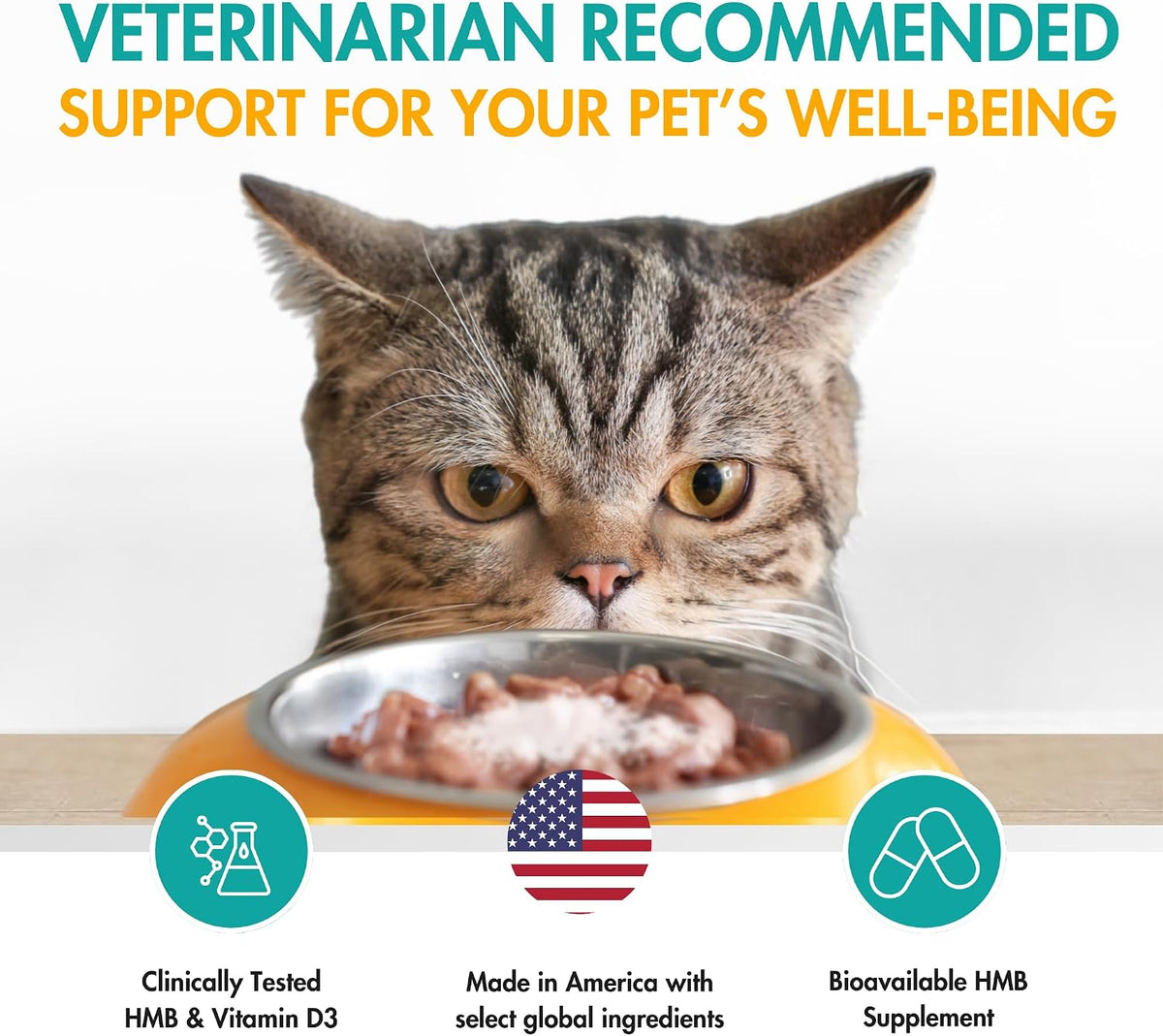 AminAmend Muscle Support for Small Dogs and Cats with CaHMB and Vitamin D3 – 30 Capsules - görsel 4